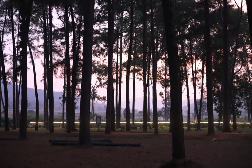 Araku Valley 2 Days Tour Package